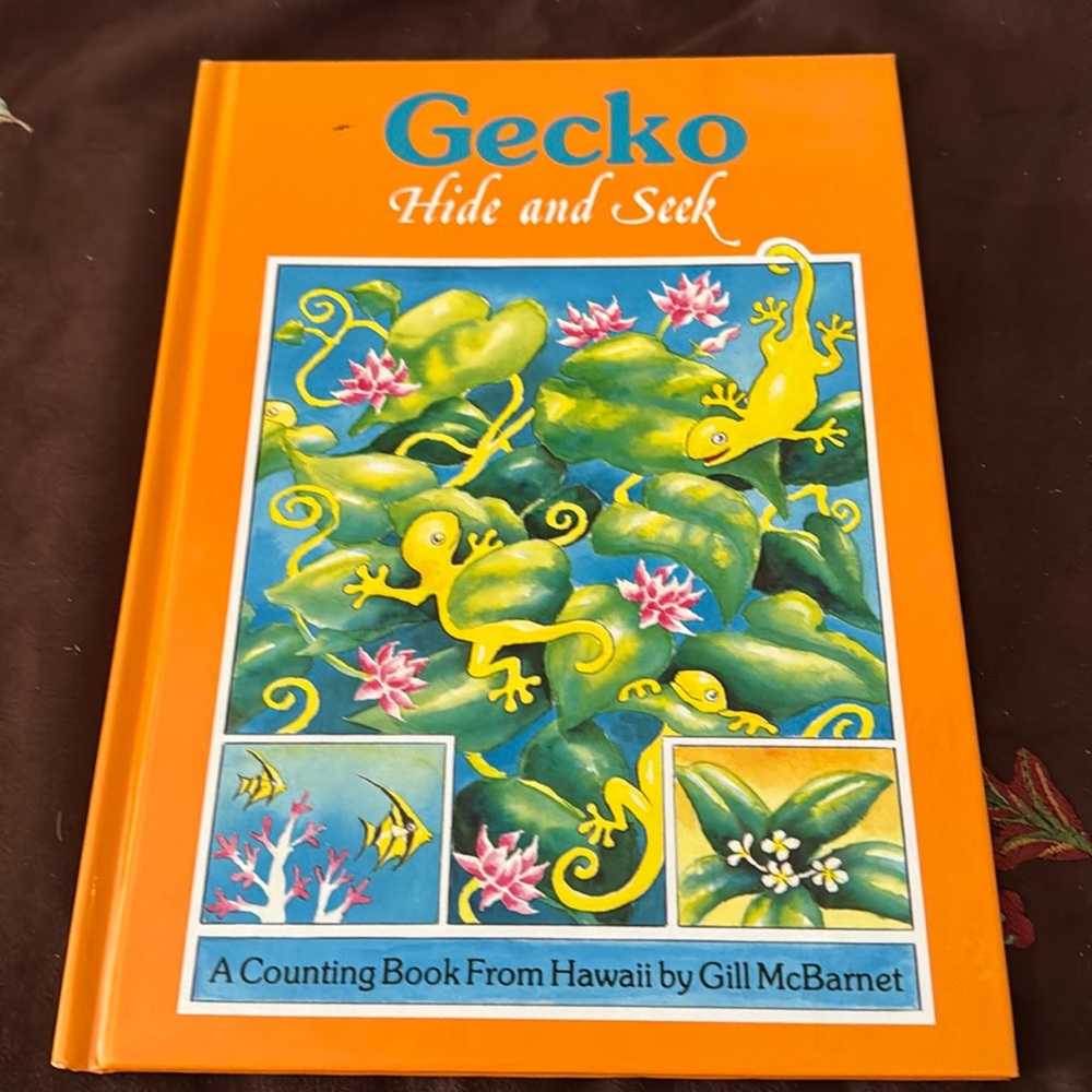 Gecko Hide and Seek by Gill McBarnet HC 1993 First Edition EUC